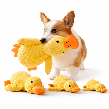 QuackBuddy – Soft Duck Dog Toy
